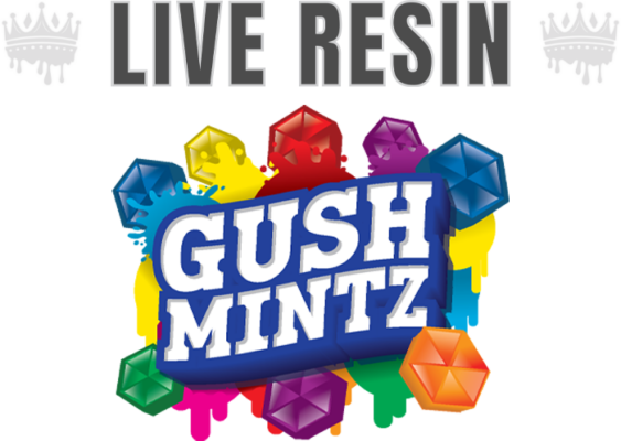 GUSH MINTZ | HYBRID, buy Gush Mintz live resin disposable, purchase Muha Meds Gush Mintz vape, Gush Mintz THC vape pen for sale, order Gush Mintz 1000mg disposable, shop Muha Meds Gush Mintz online, buy Gush Mintz hybrid vape pen now, Muha Meds Gush Mintz 1000MG vape, Gush Mintz Melted Diamonds disposable, best fruity mint THC vape pen, premium hybrid live resin vape, Muha Meds hybrid vape flavor profile, top-rated Gush Mintz cannabis vape, buy Gush Mintz live resin disposable, order Muha Meds Gush Mintz vape online, purchase Gush Mintz 1000mg THC pen, shop Muha Meds Gush Mintz disposable, Gush Mintz Melted Diamonds vape for sale, buy Muha Meds Gush Mintz 1g vape pen, authentic Gush Mintz THC pen buy now, legal Gush Mintz disposable vape purchase, Gush Mintz hybrid vape Muha Meds official, Muha Meds Gush Mintz weed pen for sale, Muha Meds Gush Mintz live resin vape, Gush Mintz Melted Diamonds disposable, best fruity mint THC vape pen, Gush Mintz strain vape review, Muha Meds hybrid 1000mg vape, top hybrid vape pens 2025, premium live resin disposable Muha Meds, sweet mint weed vape pen, Gush Mintz cannabis vape flavor profile, Muha Meds Gush Mintz terpene-rich vape, Buy Muha Meds Gush Mintz Live Resin Disposable Online